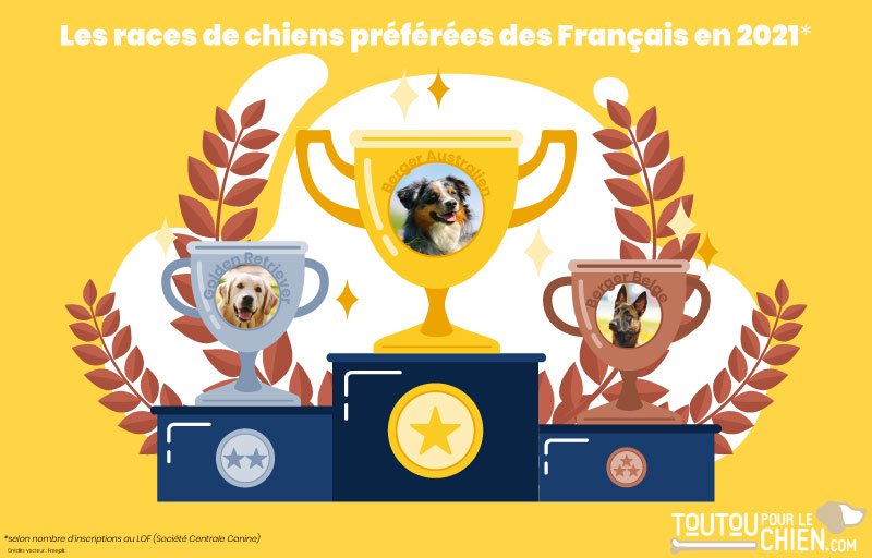 LOF 2021 : les races de chiens préférées des Français !