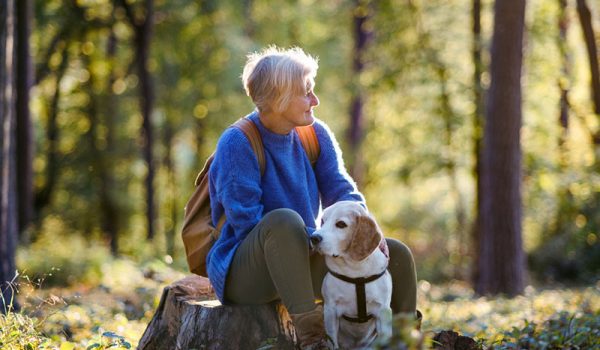 promener chien detente