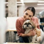 24 juin travailler avec son chien