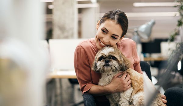 24 juin travailler avec son chien
