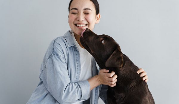 les bienfaits d'avoir un chien