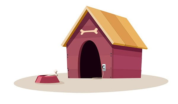 conseils entretenir la niche de son chien