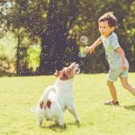 chien permet de se protéger contre la maladie de Crohn