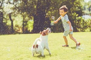 chien permet de se protéger contre la maladie de Crohn