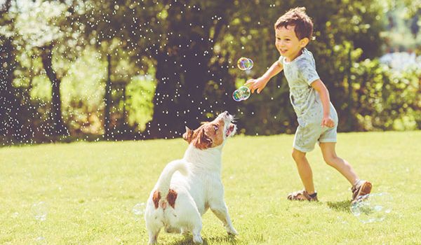 chien permet de se protéger contre la maladie de Crohn