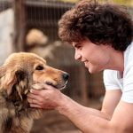 nouvelles règles concernant l'adoption d'un chien