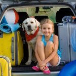 un propriétaire peut il interdire un chien dans une location saisonnière