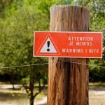 attention chien dangereux