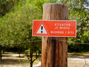 attention chien dangereux