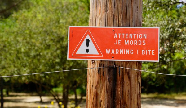 attention chien dangereux