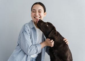 chien qui leche son maître