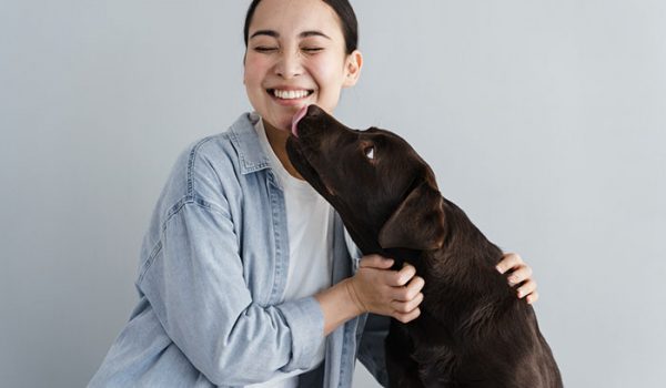 chien qui leche son maître