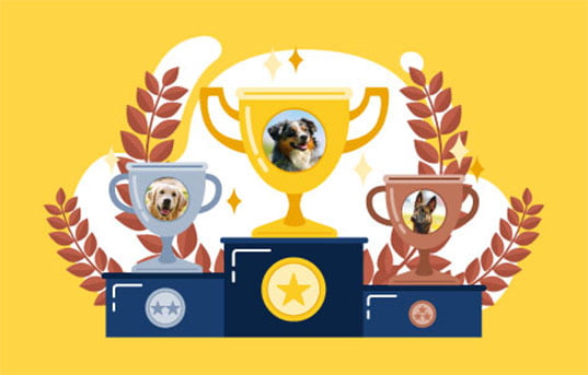 trophée chien héros