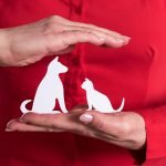 comparer les devis d'assurance animaux