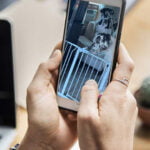 deux dogues allemands s'évadent