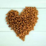 croquettes dangereuses pour le cœur des chiens