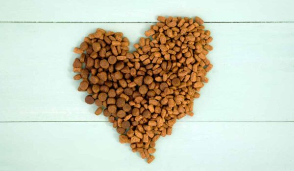 croquettes dangereuses pour le cœur des chiens