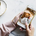 bebe ami avec un golden retriever