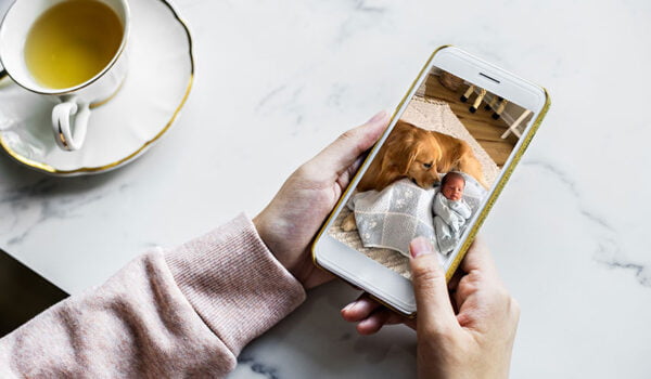 bebe ami avec un golden retriever