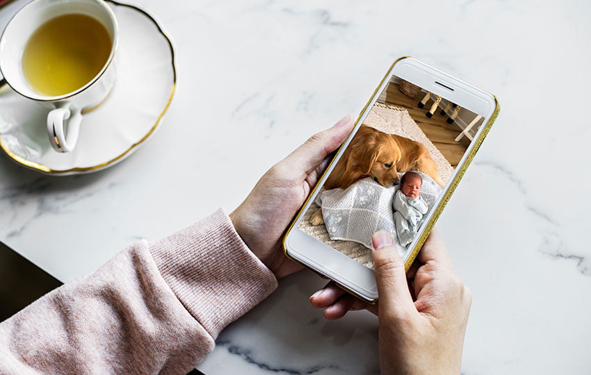 bebe ami avec un golden retriever