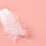 plumes dans les croquettes pour chien