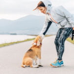 top 10 des races de chiens pour la course à pied