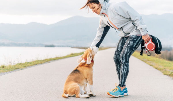 top 10 des races de chiens pour la course à pied