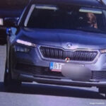 un chien est flashé à bord d'une voiture Skoda pour excès de vitesse