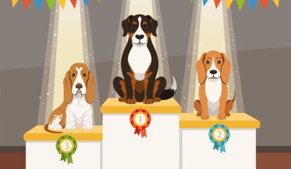 le classement des meilleures villes canines en 2023