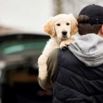 conseils pour ne pas se faire voler son chien
