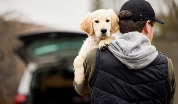 conseils pour ne pas se faire voler son chien