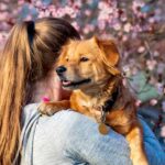 Les propriétaires d'animaux de compagnie plus stressés que les parents