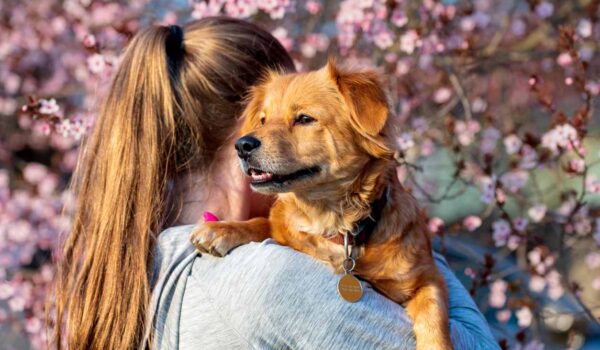 Les propriétaires d'animaux de compagnie plus stressés que les parents