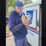 vidéo montrant la complicité d'un chien et d'un facteur