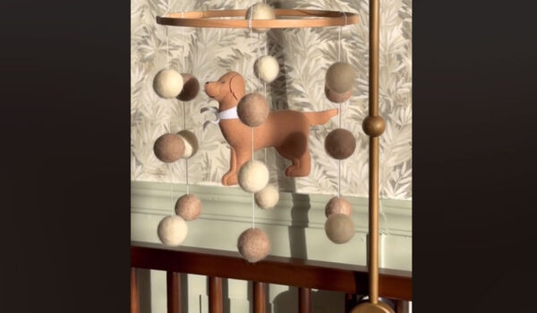 vidéo d'une chambre décorée sur la thématique du golden retriever