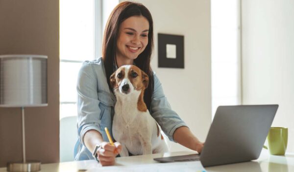 vidéo de la meilleure entreprise pour travailler avec son chien