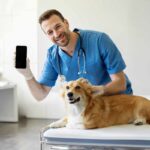 intelligence artificielle et assurance santé pour animaux