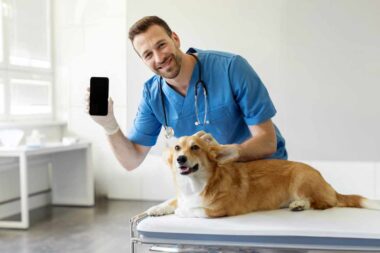 intelligence artificielle et assurance santé pour animaux