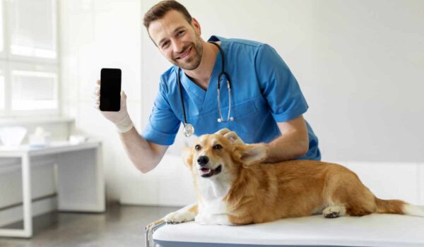 intelligence artificielle et assurance santé pour animaux