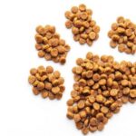 traçabilité alimentation pour chien