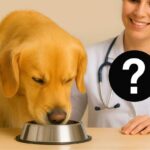 donner des carottes à son chien est bon pour la santé