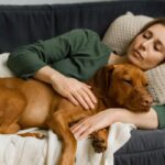 chien qui comprend vos émotions