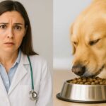 vétérinaire qui explique les erreurs d'alimentations canines