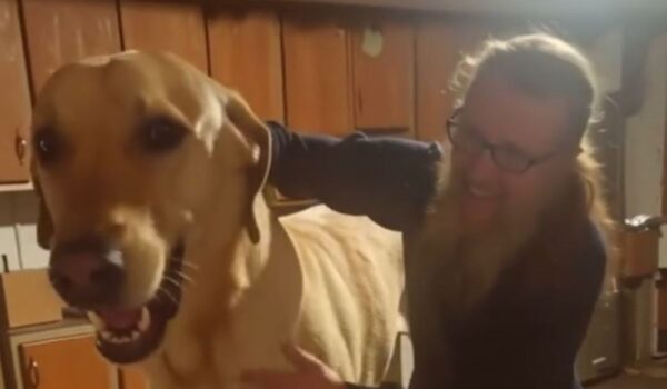 titan faux chien intelligence artificielle