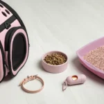 Bien préparer l'arrivée d'un chat : 12 objets indispensables pour un compagnon heureux