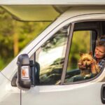 races de hiens voyage camping car