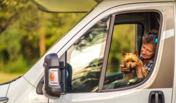 races de hiens voyage camping car