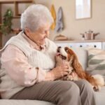 races de chiens adaptees aux seniors