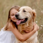 Le golden retriever Wally : un phénomène viral de câlins sur TikTok