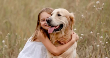 Le golden retriever Wally : un phénomène viral de câlins sur TikTok